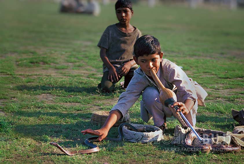 indien14