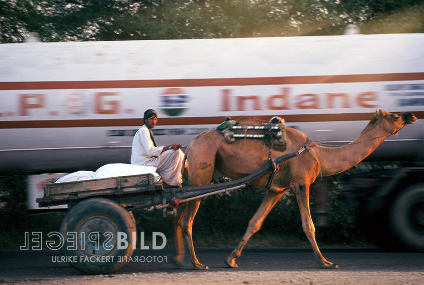 indien16