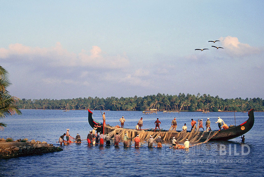 indien19