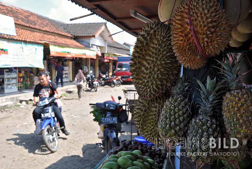 indonesien11