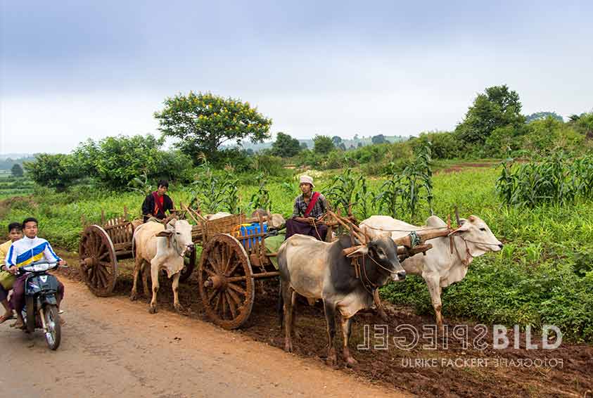 myanmar05