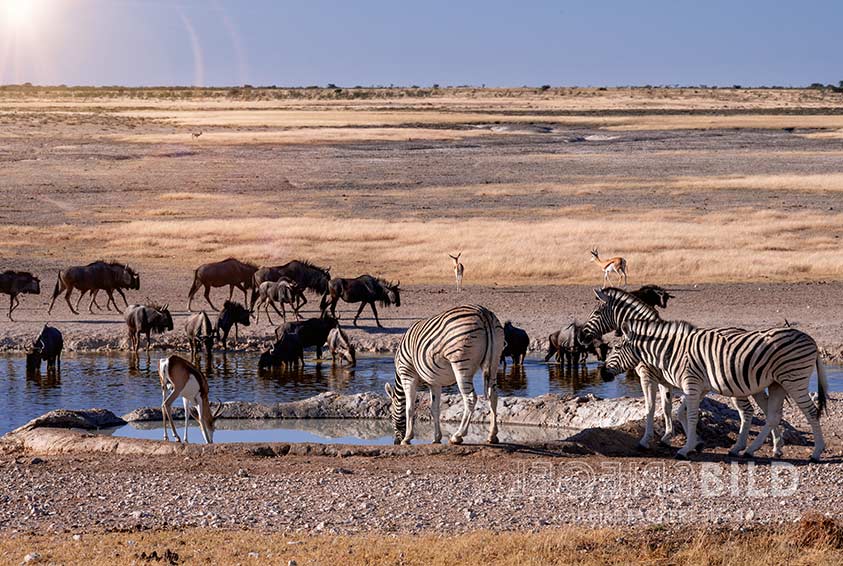 namibia07