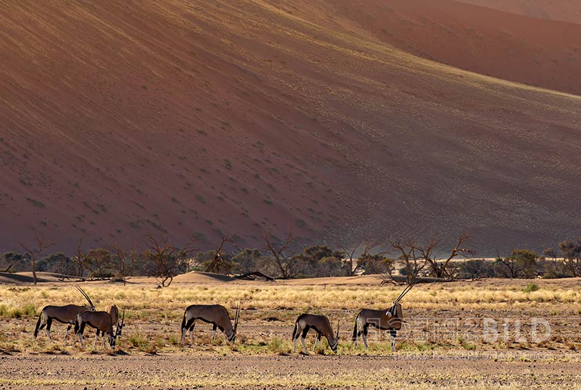 namibia09