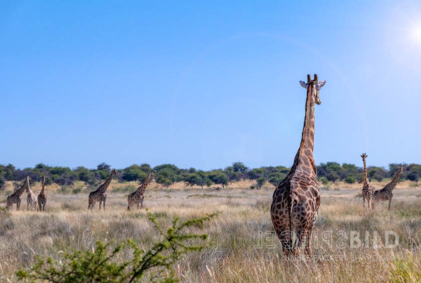 namibia10