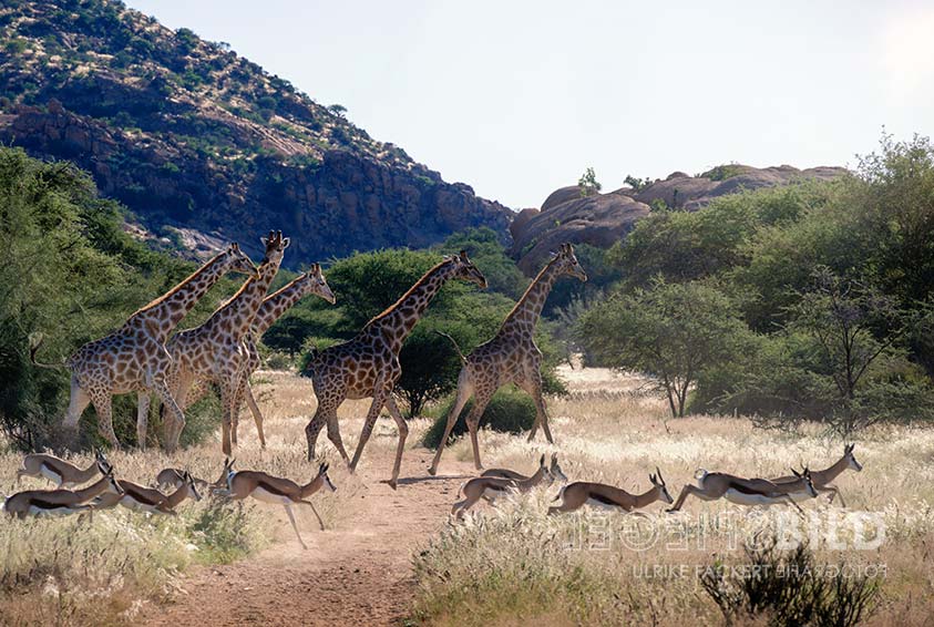 namibia11