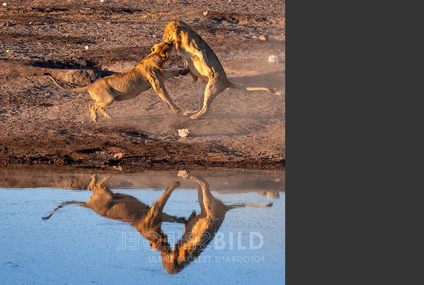 namibia15