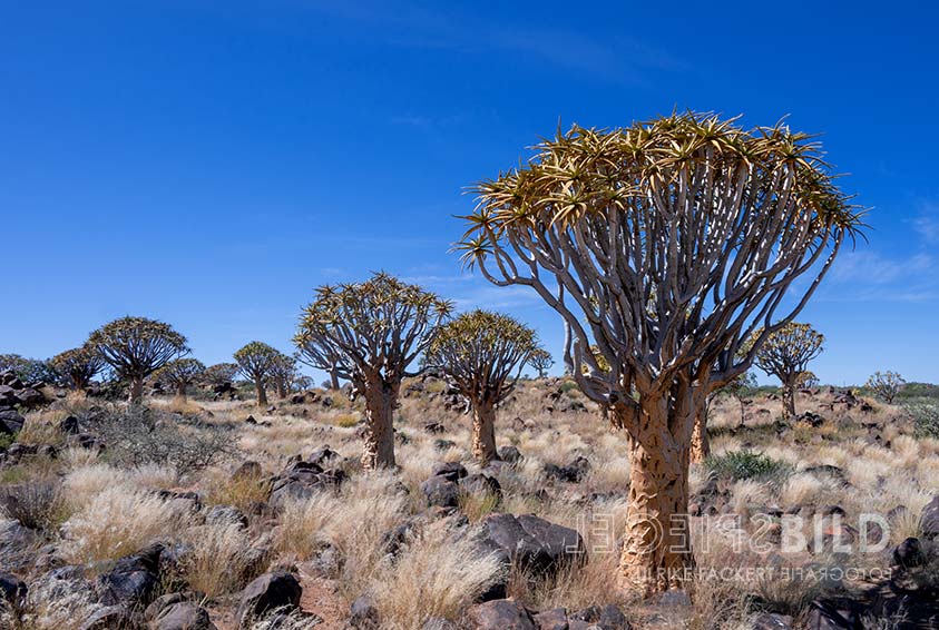 namibia19