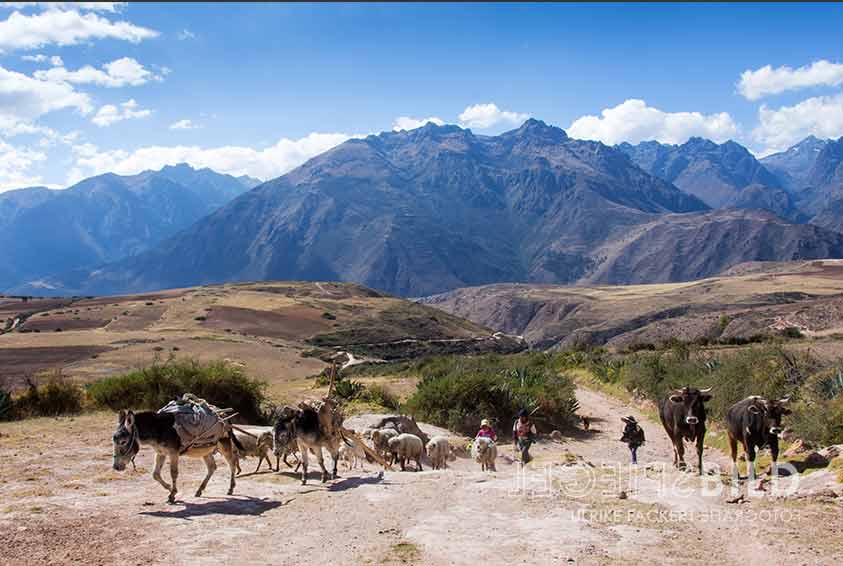 peru17