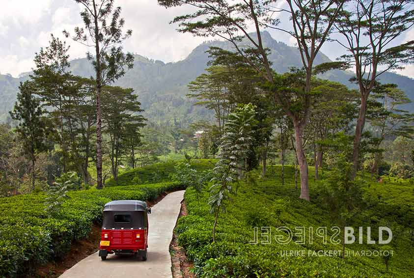 srilanka12