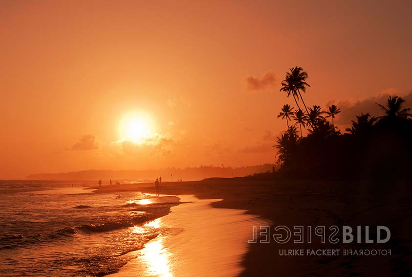 srilanka19